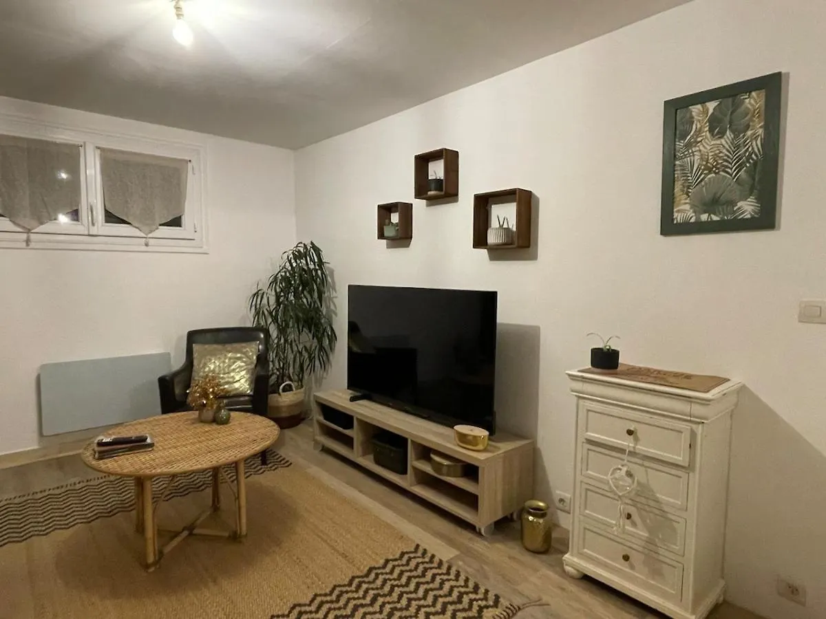 Cosy Appartement Jardin Centre Ville موزياك